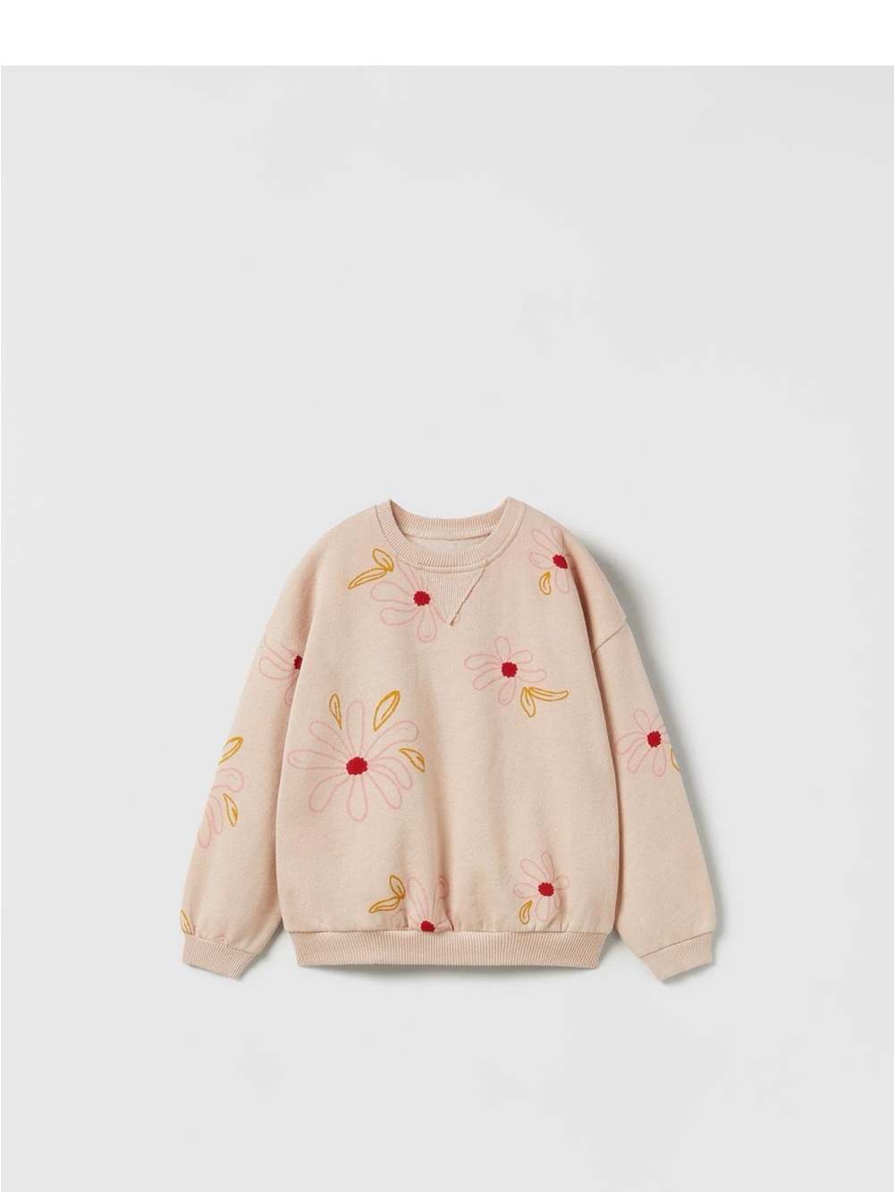Zara Pink Floral Embroidered Sweater